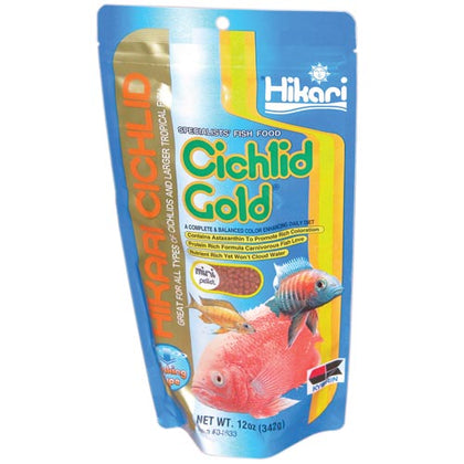 hikari-cichlid-gold