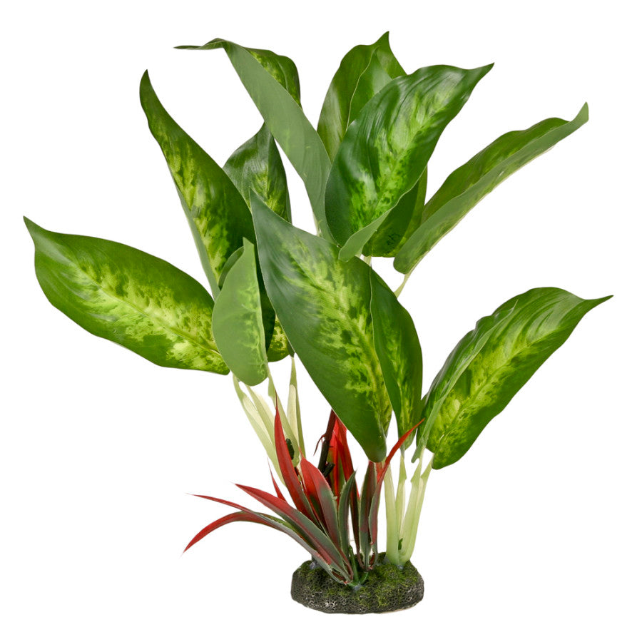 dieffenbachia and pets Blue Ribbon Pet Tropical Gardens Dieffenbachia Variegated Leaf Plant – KensFish.com