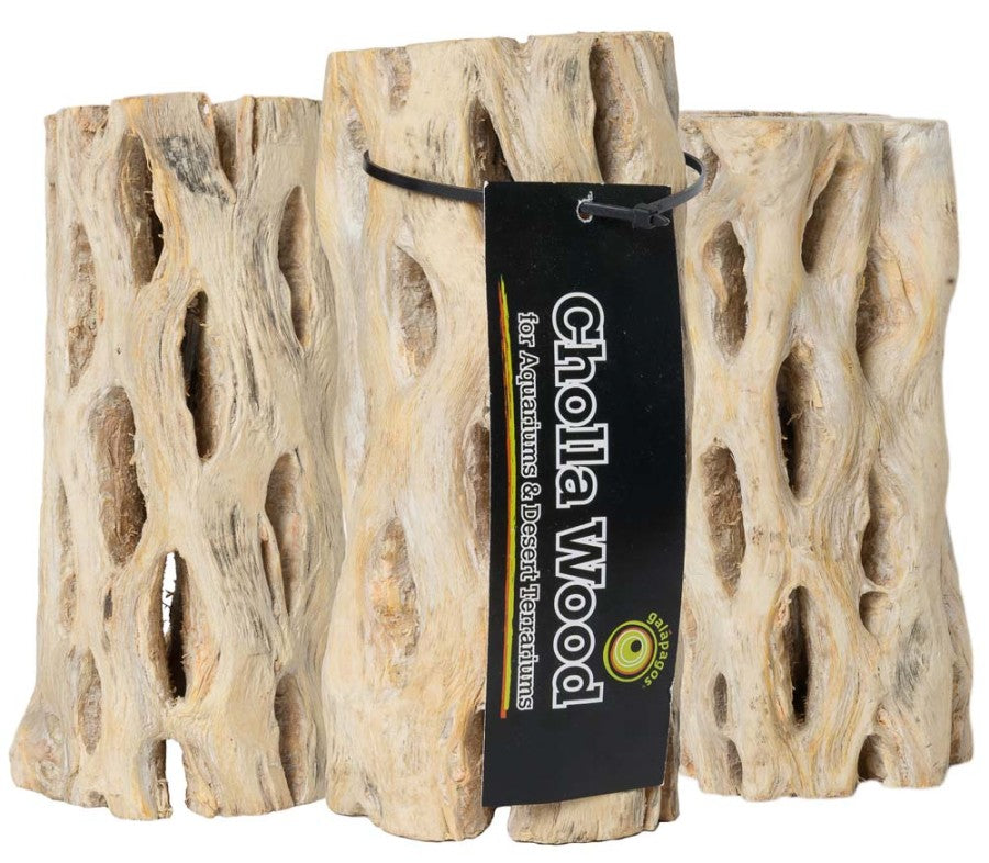 Galapagos Cactus Skeleton Cholla Wood 6 inch (3 pack)