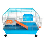 ware-multi-colored-rooftop-guinea-pig-cage