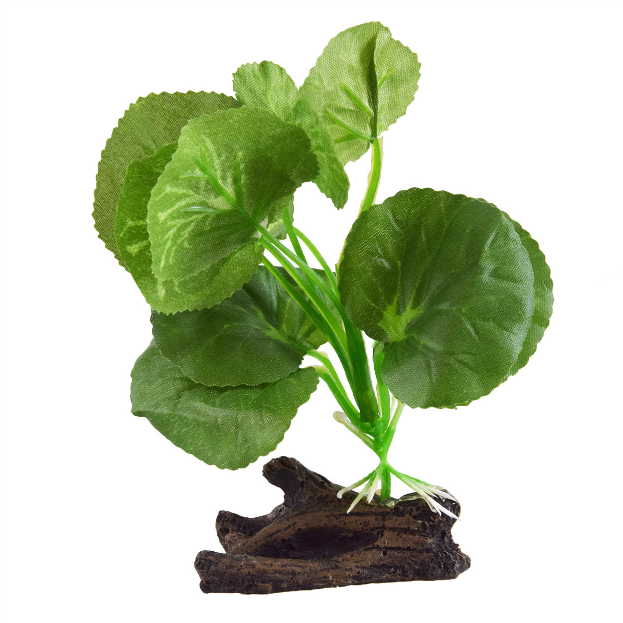 aquarium silk plants Underwater Treasures Hydrocotyle Silk Plant – KensFish.com