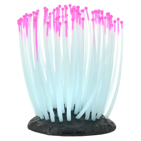 underwater-treasures-glowing-anemone-pink-small