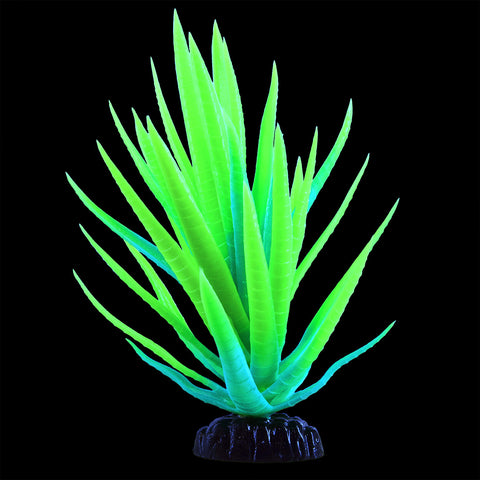 underwater-treasures-glow-agave-plant