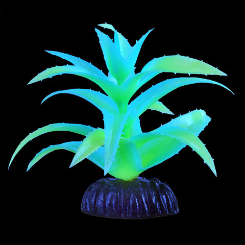 underwater-treasures-glow-aloe-vera-plant