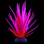 underwater-treasures-glow-yucca-pink-plant-medium
