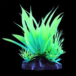 Underwater Treasures Glow Star Plant Green