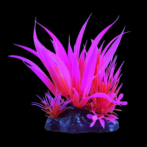underwater-treasures-glow-star-plant-pink