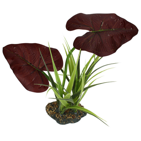 komodo-rainforest-canopy-plant