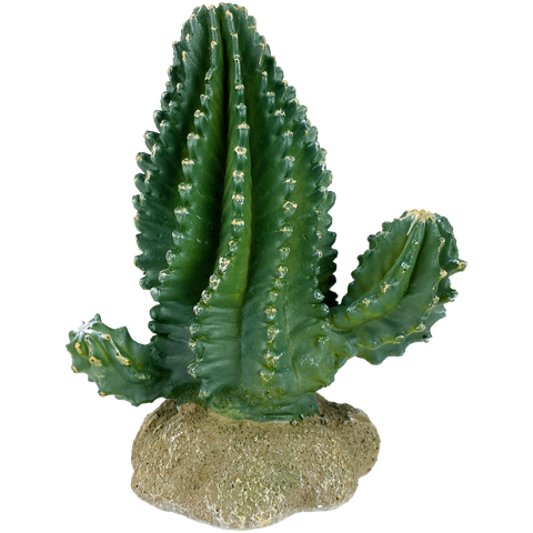 komodo-columnar-cactus