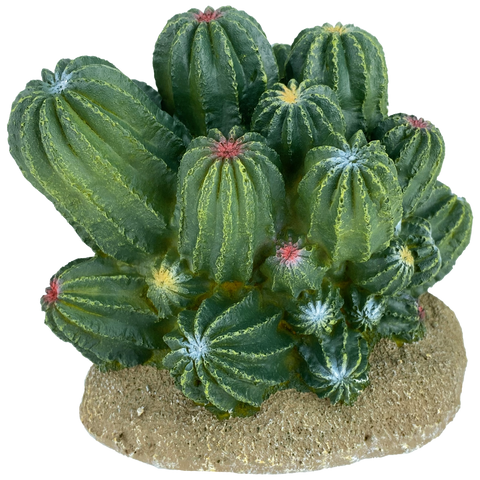 komodo-barrel-cactus