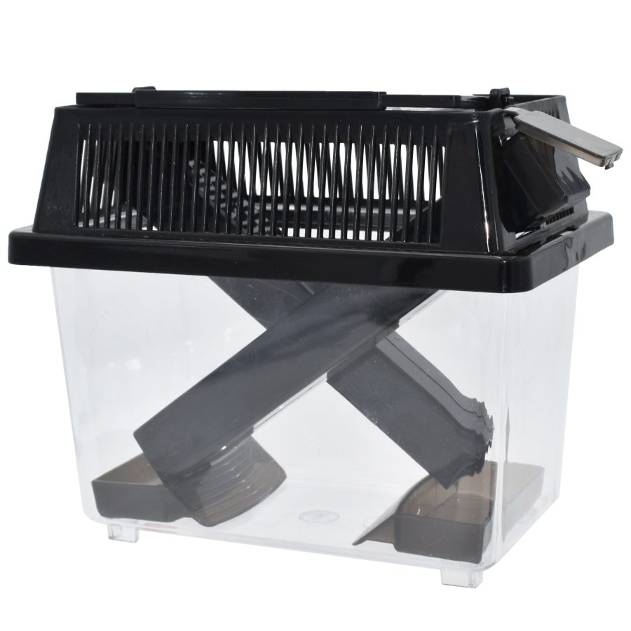 cricket box for fishing Komodo Cricket Keeper Box Small – KensFish.com