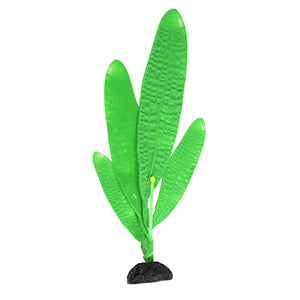 madagascar lace plant Penn Plax Flow Plant Madagascar Lace Green 10.5 inch – KensFish.com