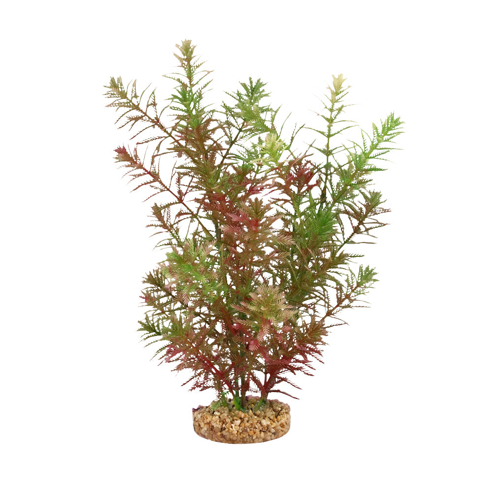 Fluval Aqualife Green Myriophyllum Plant