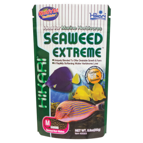 Hikari Seaweed Extreme Medium Wafer – KensFish.com