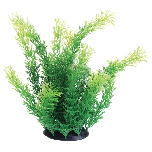 cheap aquarium plastic plants Underwater Treasures Cabomba Plant – KensFish.com