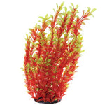 underwater-treasures-red-ludwigia-plant-16-inch
