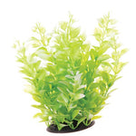 underwater-treasures-white-tipped-cardamine-plant-10-inch