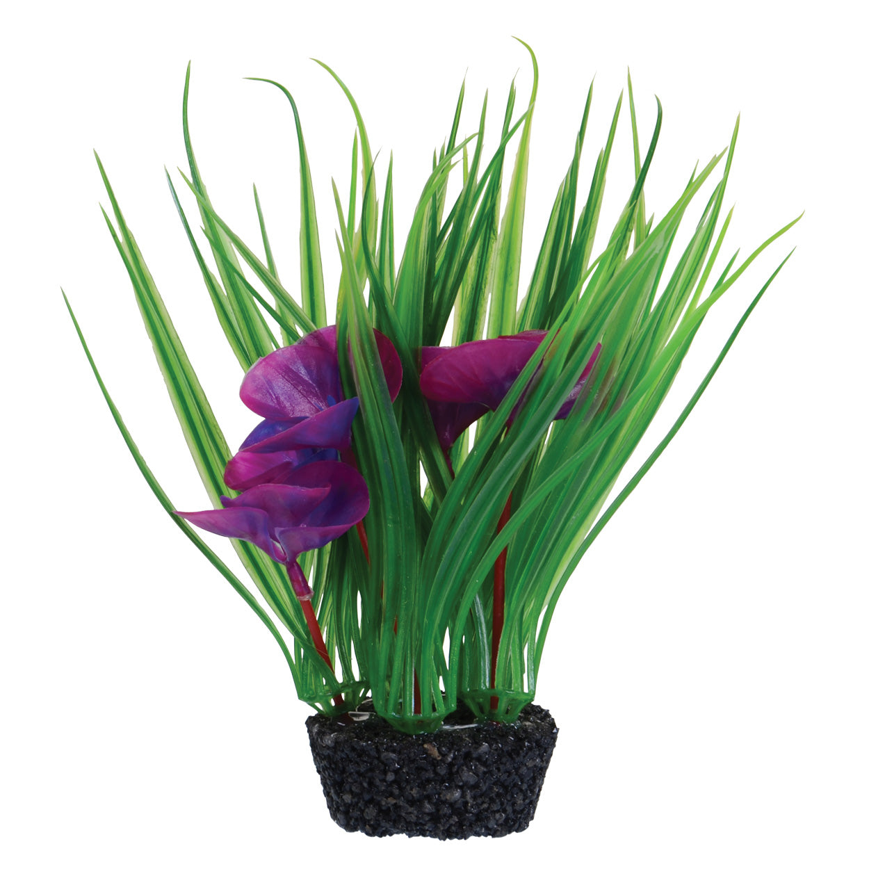 Underwater Treasures Luna Lily 7 inch – KensFish.com