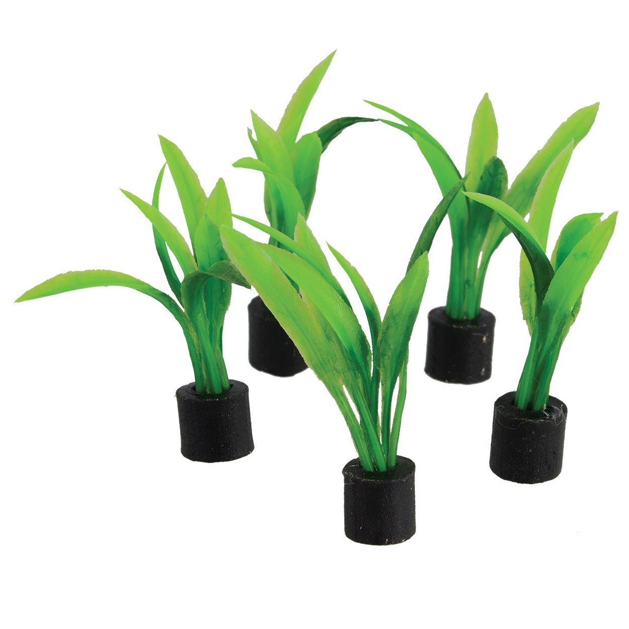 small pots for aquarium plants Underwater Treasures Mini Plant Sword 2.75