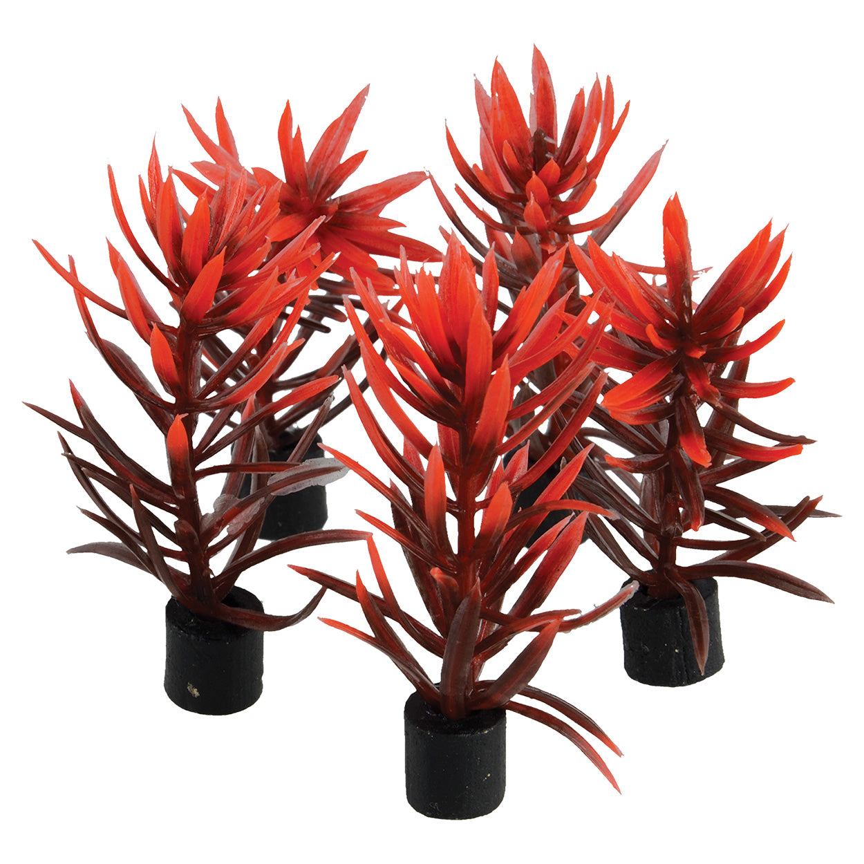 Underwater Treasures Mini Plant Red and Brown 3