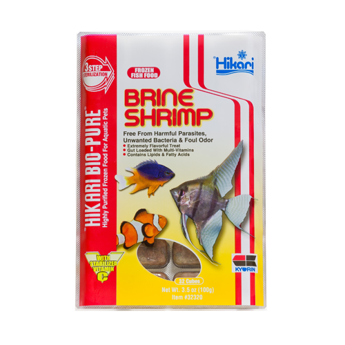 Live brine shrimp fish food hotsell