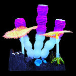 Underwater Treasures Glow Action Sponge and Carpet Corals Purple