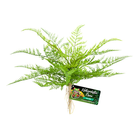 zoo-med-naturalistic-flora-lace-fern