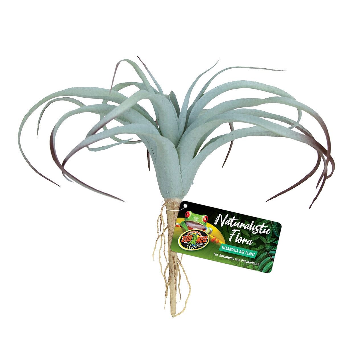Zoo Med Naturalistic Flora Tillandsia Air Plant – KensFish.com