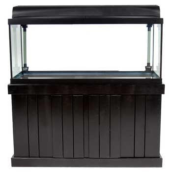 Marineland Majesty Stand Black 48" x 18"