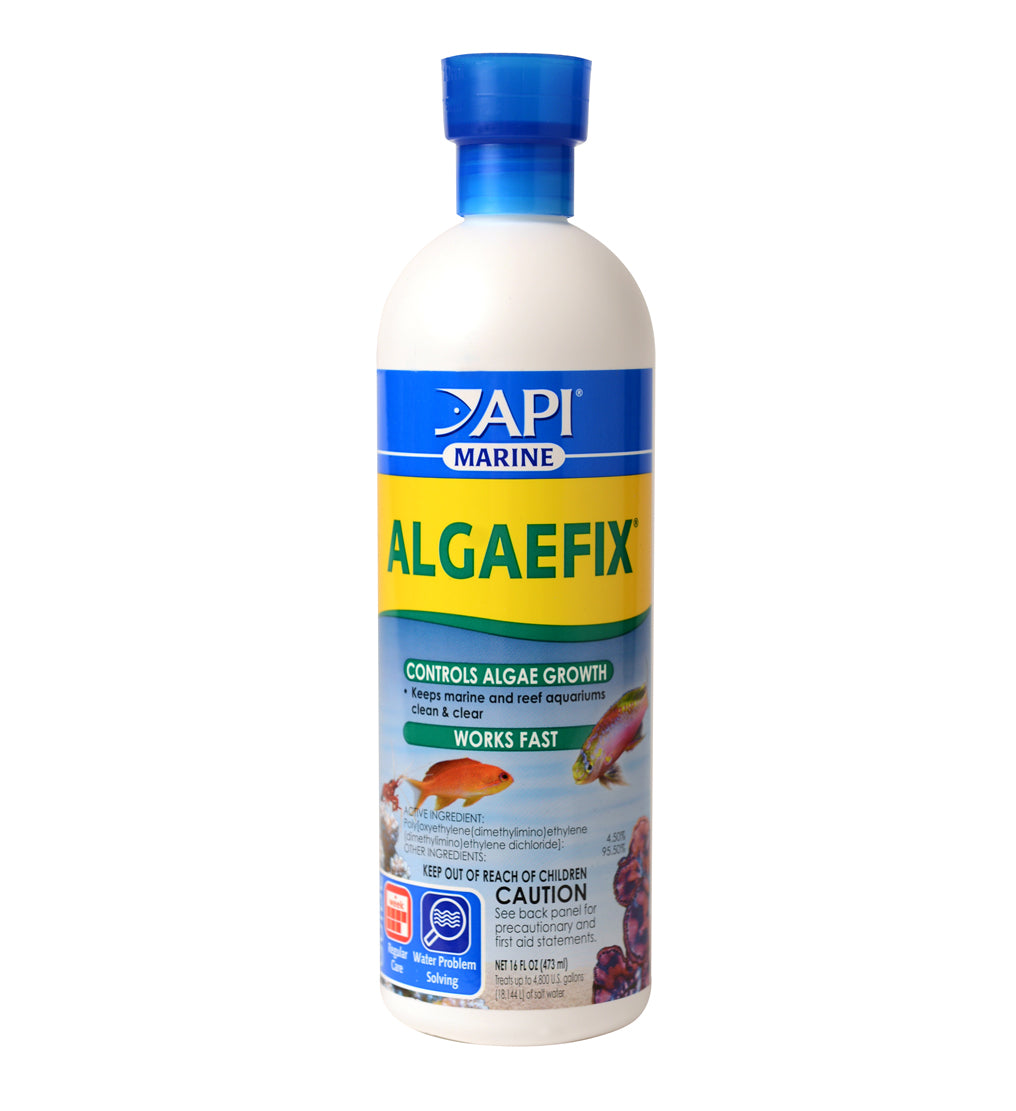 API Algae Fix 16 oz. Bottle