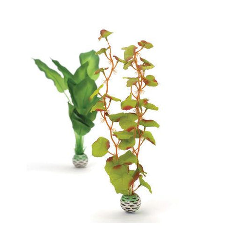 biorb-silk-plant-green-medium