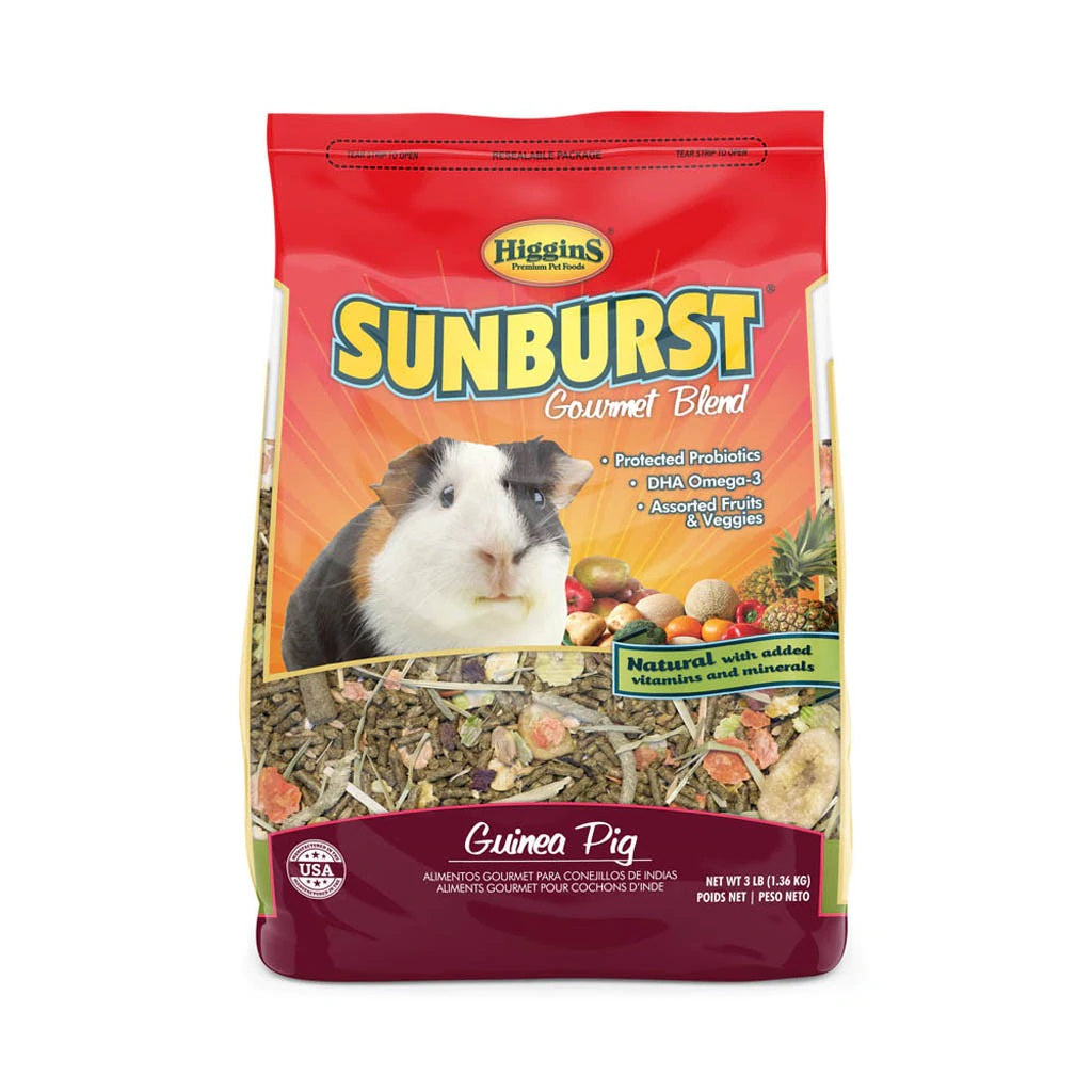 healthiest hamster food