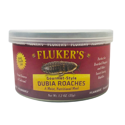 flukers-gourmet-style-dubai-roaches-1-2-oz