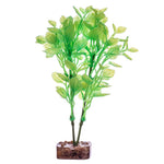 tetra-glofish-plant-green-yellow-medium
