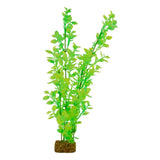 tetra-glofish-plant-green-yellow-xlarge