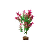 tetra-glofish-plant-green-pink-medium