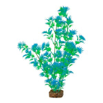 tetra-glofish-plant-green-blue-xlarge