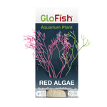 tetra-glofish-red-algae-aquarium-plant