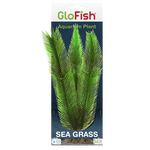 tetra-glofish-sea-grass-aquarium-plant