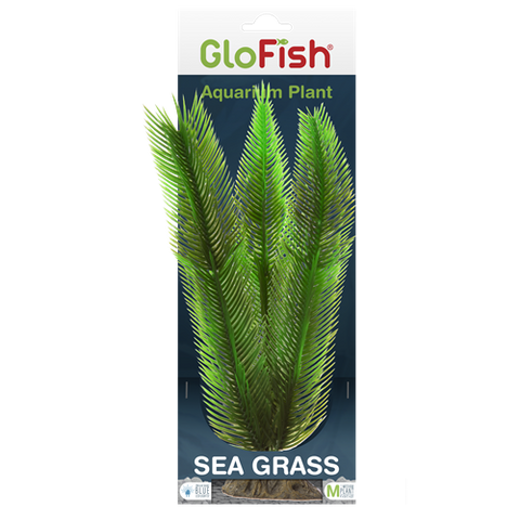 tetra-glofish-sea-grass-aquarium-plant