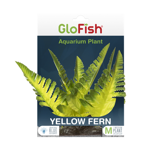 tetra-glofish-yellow-fern-aquarium-plant