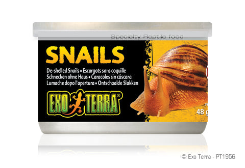 exo-terra-snails-unshelled-1-7-oz