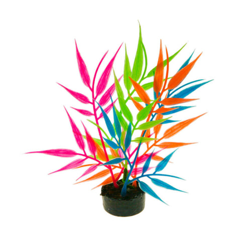 blue-ribbon-colorburst-florals-needle-leaf-multi-plant