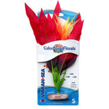 blue-ribbon-colorburst-florals-amazon-sword-silk-plant-red-small