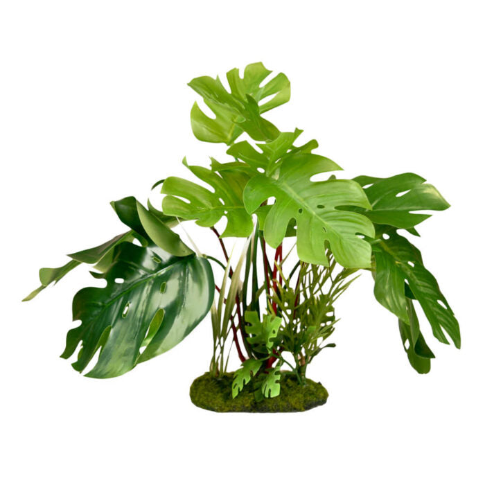 blue leaf philodendron Blue Ribbon Colorburst Florals Split Green Leaf Philodendron