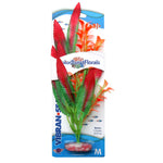 blue-ribbon-colorburst-floras-crispus-red-silk-plant-medium
