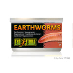 exo-terra-earthworms-1-2-oz