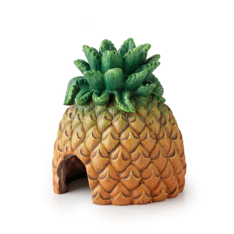 exo-terra-pineapple-hide
