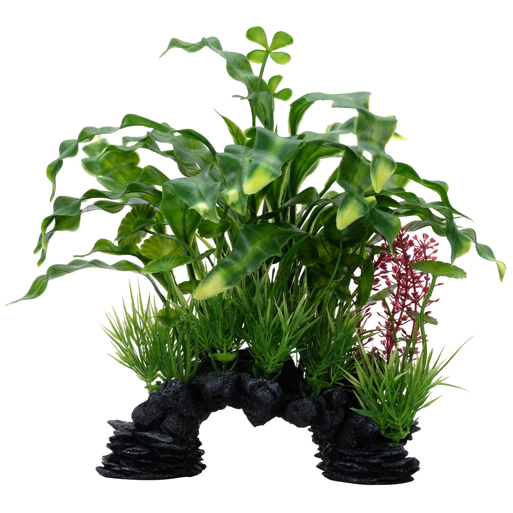 Fluval Aqualife Curly Aponogeton Plant Mix 10 inch