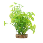 Fluval Aqualife Plant Scapes Yellow-Green Lysimachia 8 inch